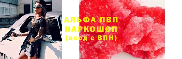 ГАЛЛЮЦИНОГЕННЫЕ ГРИБЫ Верея